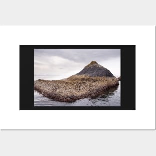 Staffa Lava Posters and Art